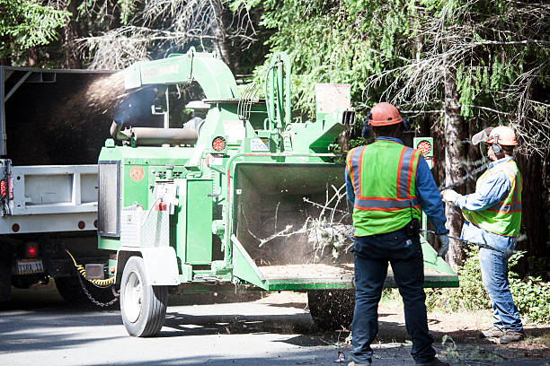Best Lawn Watering Services  in Sansom Park, TX