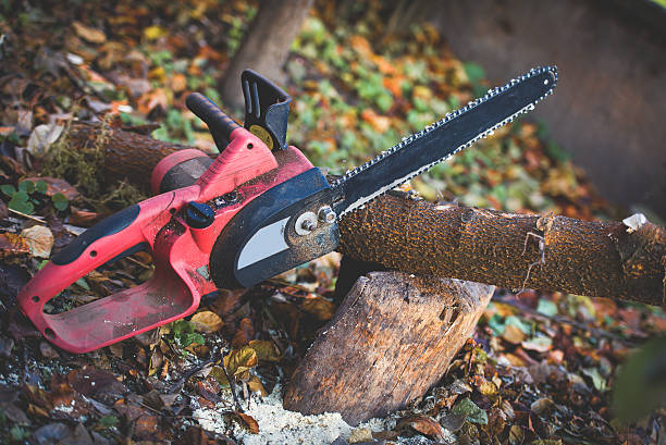 Mulching Services in Sansom Park, TX